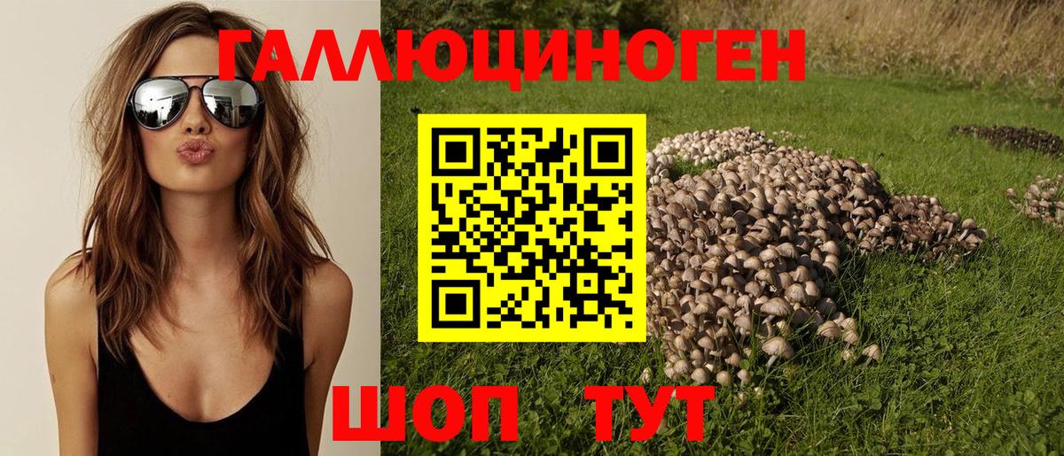 Галлюциногенные грибы Psilocybe  Вход с VPN  Краснодар 
